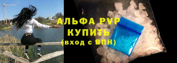 стаф Богданович