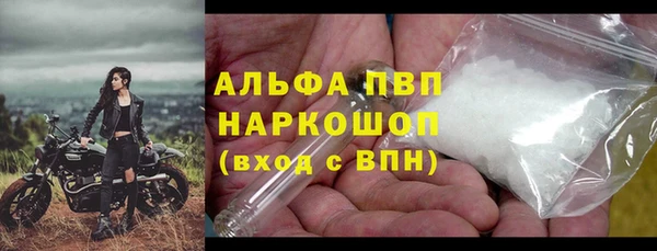 стаф Богданович