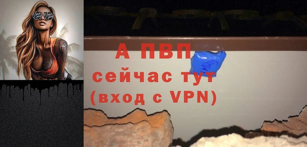 стаф Богданович