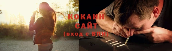 прущая мука Богородск