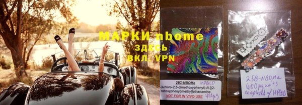 стаф Богданович