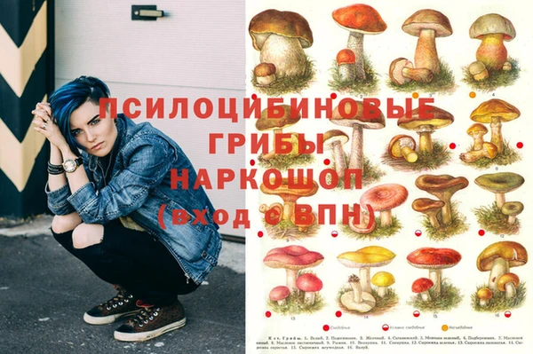 стаф Богданович
