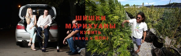 прущая мука Богородск