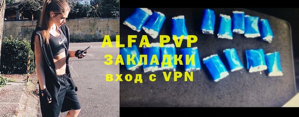 стаф Богданович