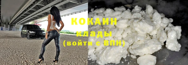 стаф Богданович