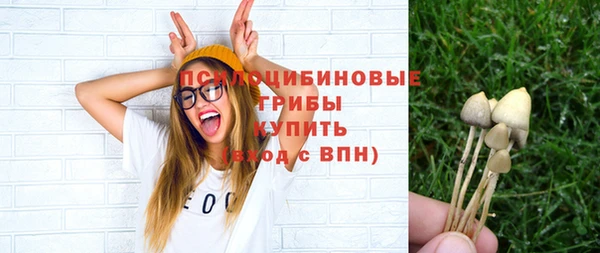эйфоретик Богородицк