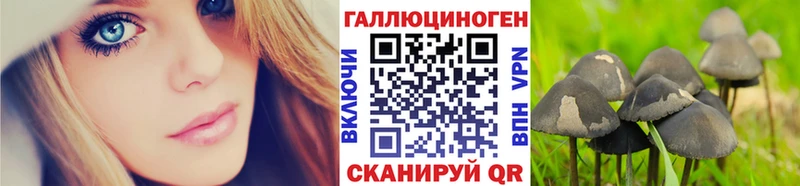 Псилоцибиновые грибы мухоморы  Тбилисская 